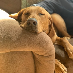 Fundraising Page: Angela Reimer